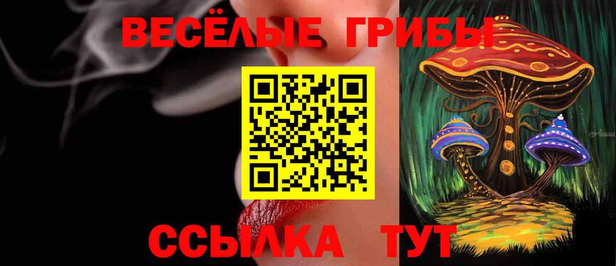 купить наркотики цена  Вход с VPN  Златоуст  Псилоцибиновые грибы мицелий 